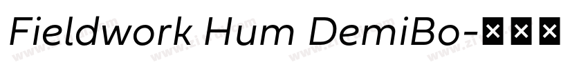 Fieldwork Hum DemiBo字体转换